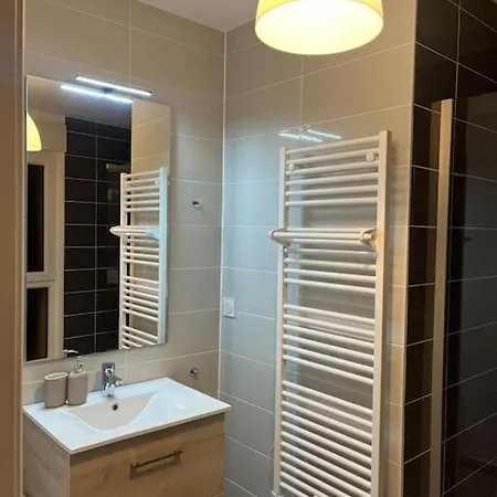 De Charme Neuf Appartamento Colmar