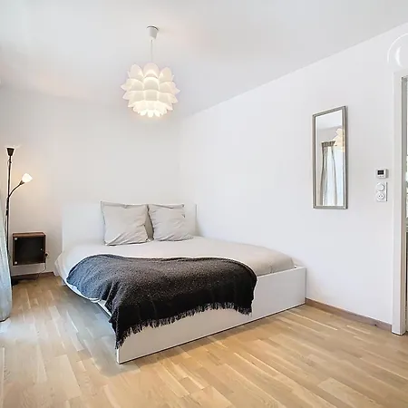 De Charme Neuf Apartment Colmar